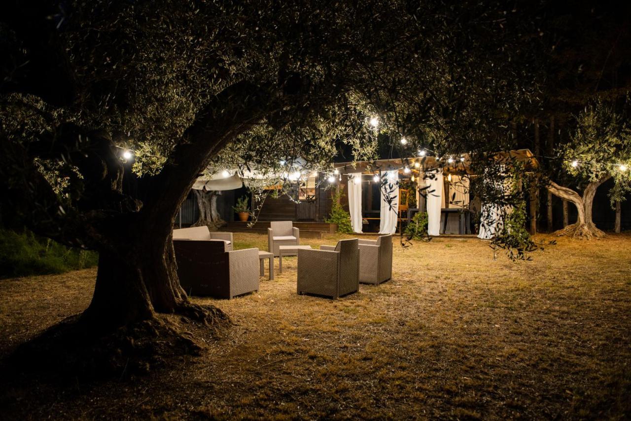 Casale Delle Lavande Bed & Breakfast