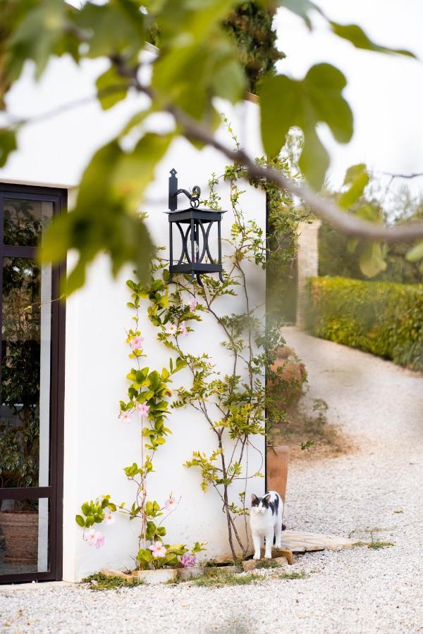 Bed & Breakfast Casale Delle Lavande Citta Sant'Angelo