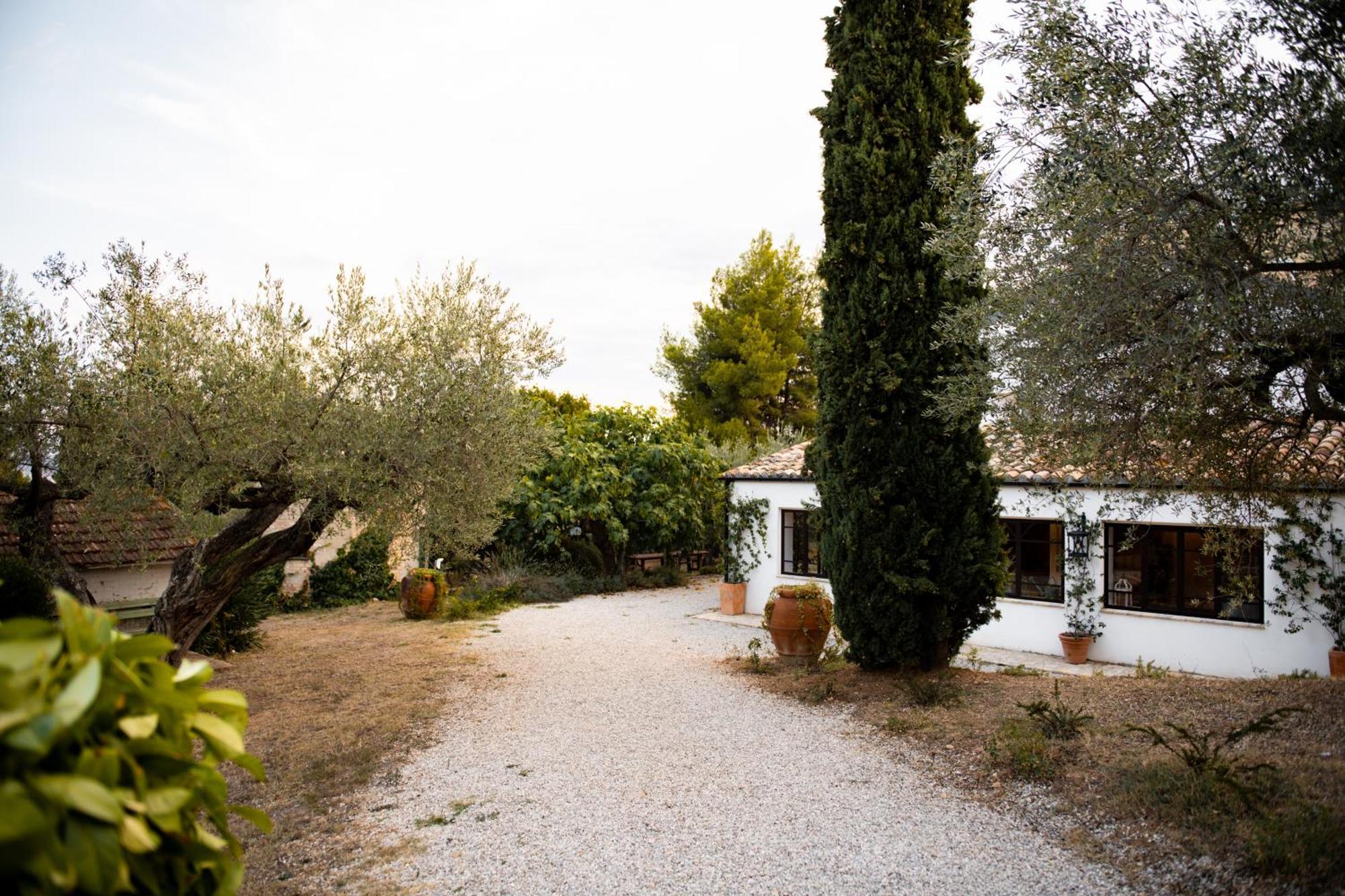 Casale Delle Lavande Bed & Breakfast