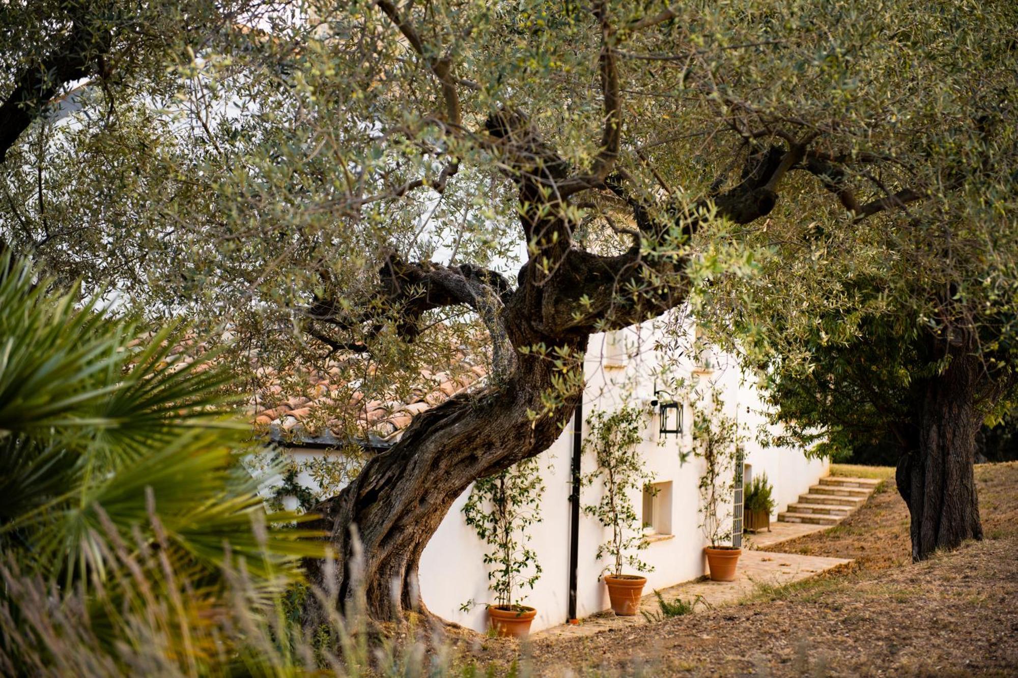 Casale Delle Lavande Bed & Breakfast