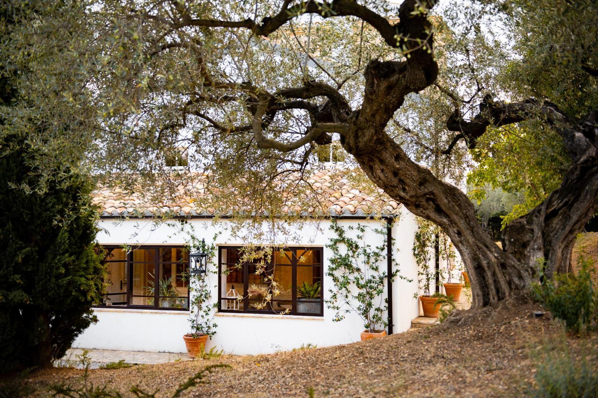 Casale Delle Lavande Bed & Breakfast Citta Sant'Angelo