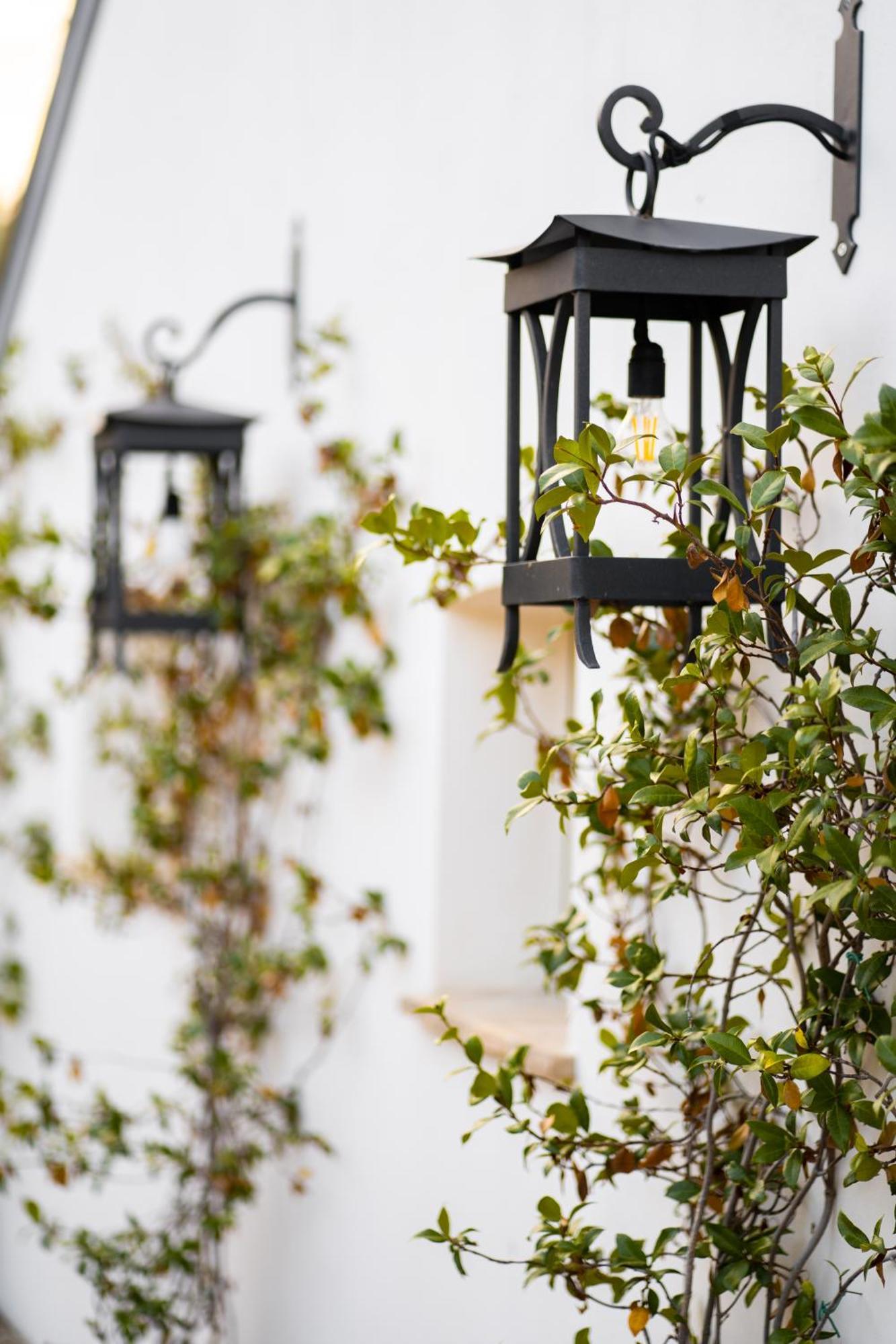 Bed & Breakfast Casale Delle Lavande