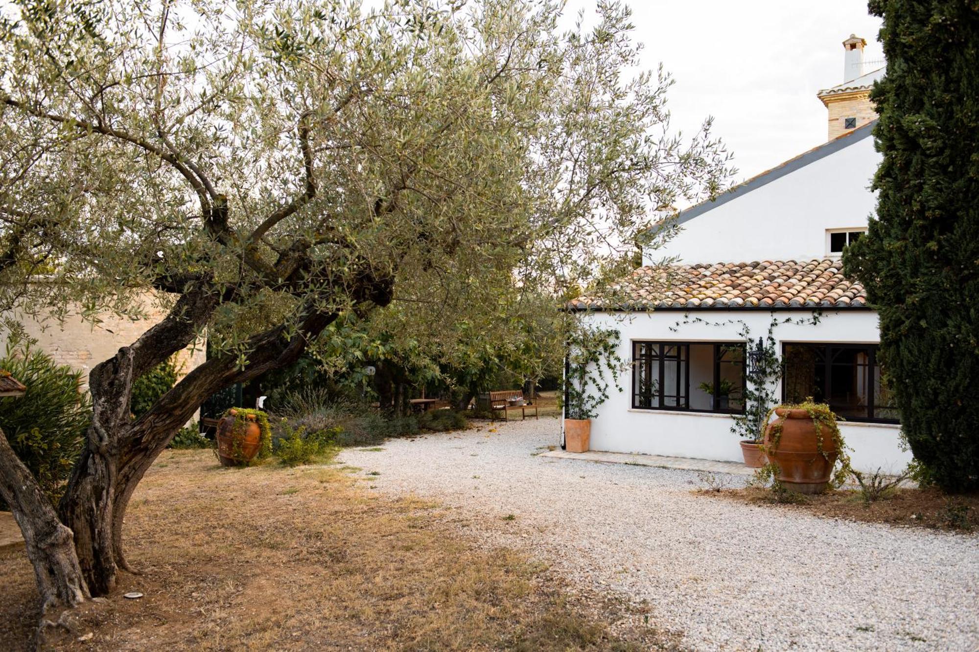 Bed & Breakfast Casale Delle Lavande Citta Sant'Angelo